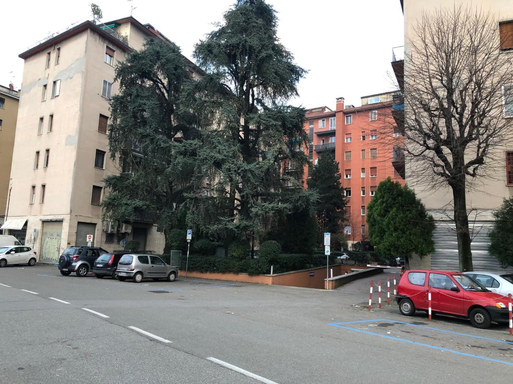 Tra Le Torri B&B - Ampia Stanza Privata In Appartamento Con Bagno Privato Accessibile Da Corridoio Boloňa Exteriér fotografie